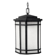 Cherry Creek LED Outdoor Hanging Light in Vintage Black by Hinkley Lighting