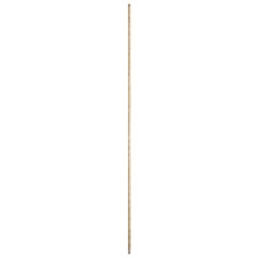 72-Inch Fan Downrod in Aged Silver Leaf by Quorum Lighting
