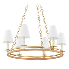Hudson Valley Lighting Swanton Aged Brass LED Chandelier