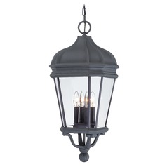 Outdoor Hanging Light with Clear Glass in Black by Minka Lavery