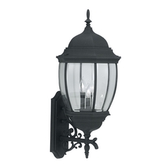 Outdoor Wall Light with Clear Glass in Black Finish