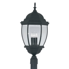 Post Light with Clear Glass in Black Finish