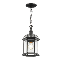 Annex Black Outdoor Hanging Light by Z-Lite