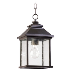Seeded Glass Outdoor Hanging Light Oiled Bronze by Quorum Lighting