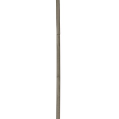generic image alt