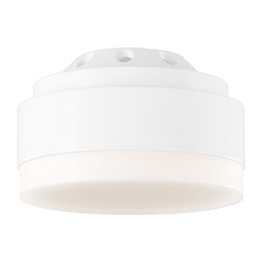 Aspen LED Light Kit in Matte White by Visual Comfort & Co Fans