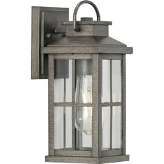 Williamston 12-Inch Outdoor Lantern in Pewter by Progress Lighting
