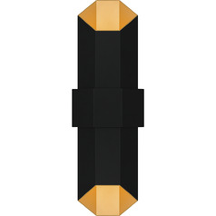 Chasm Matte Black Gold LED Outdoor Wall Light by Quoizel Lighting