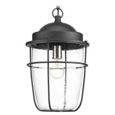 Holcombe Black Outdoor Hanging Light by Progress Lighting