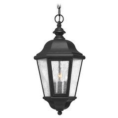 Traditional LED Seeded Glass Black Outdoor Hanging Light by Hinkley Lighting