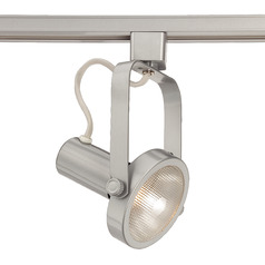 75W PAR30 Adjustable Track Head in Platinum by Eurofase Lighting