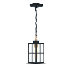 Greyson 16-Inch LED Outdoor Pendant in Black & Brass by Eurofase