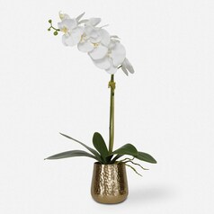 Cami Orchid in Brass Planter Pot by Uttermost Lighting