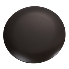 Minimalist Fan Blanking Plate in Bronze by Visual Comfort Fans