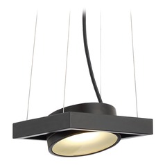 Hawk Black LED Pendant by Nuvo Lighting
