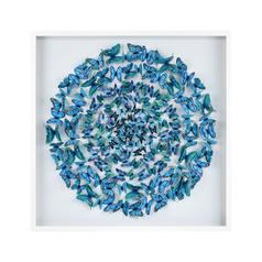 Elk Lighting Blue Butterfly Blue & White Wall Art
