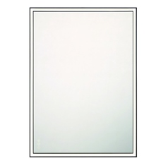 Nixon 42x30-Inch 3CCT LED Mirror in Black by Eurofase Lighting