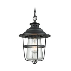 Seeded Glass Outdoor Hanging Light Black Elk Lighting
