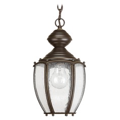 Roman Coach Outdoor Hanging Light in Bronze by Progress Lighting