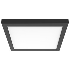 Nuvo Lighting Black LED Flushmount Light
