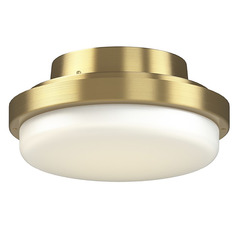 Fanimation Fans Triaire Custom Brushed Satin Brass LED Fan Light Kit