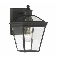 Ellijay 9.75-Inch Outdoor Wall Light in English Bronze by Savoy House