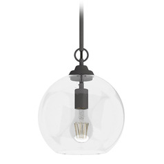 Hunter Fan Company High Oaks Noble Bronze Mini-Pendant Light with Globe Shade