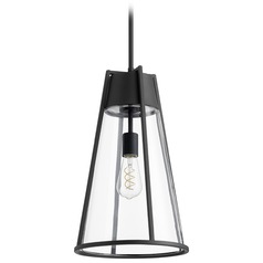 Noir Pendant by Quorum Lighting