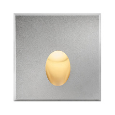 Hinkley Tilt Stainless Steel LED Recessed Step Light