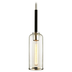 Aeon 20-Inch High Carbide Black with Polished Nickel Mini Pendant by Troy Lighting