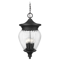 Z-Lite Davina Black Outdoor Hanging Light