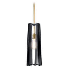Linara 17.75-Inch High Black Pendant by Kichler Lighting