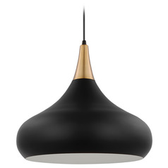 Phoenix Large Pendant in Black & Burnished Brass by Nuvo Lighting
