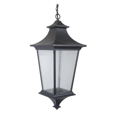 Argent II Midnight Outdoor Hanging Light by Craftmade Lighting