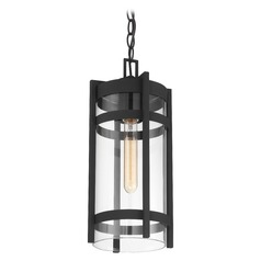 Tofino Textured Black Outdoor Hanging Light by Nuvo Lighting