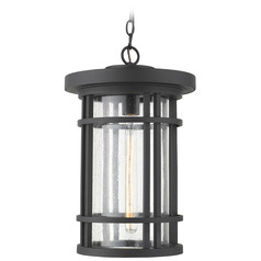Jordan Black Outdoor Hanging Light by Z-Lite
