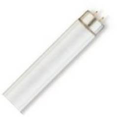 25-Watt T8 Fluorescent Light Bulb