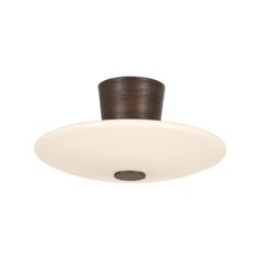 Albus LED Semi-Flush Mount in Bronze Leaf by Troy Lighting