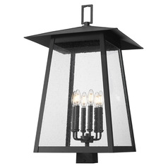 Z-Lite Rainer Black Post Light