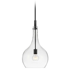 Ziggy 12-Inch Pendant in Black with Clear Glass by Hinkley Lighting