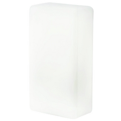 Outdoor Wall Light with White Glass by Access Lighting