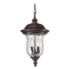 Armstrong Bronze Outdoor Hanging Light by Z-Lite