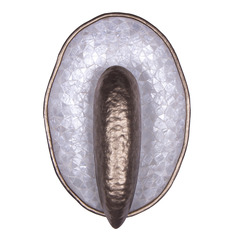 $collectionProducts.get('title')