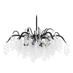 Quoizel Lighting Maple Earth Black Chandelier