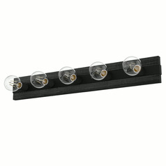 Hunter Fan Company Donelson Natural Black Iron & Dark Ash Vertical Bathroom Light