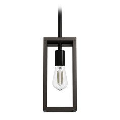 Hunter Fan Company Squire Manor Matte Black & Dark Ash Mini-Pendant Light