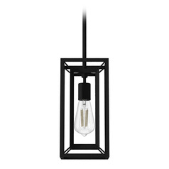 Hunter Fan Company Doherty Natural Black Iron Mini-Pendant Light