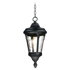 Sentry Black Outdoor Hanging Light by Maxim Lighting