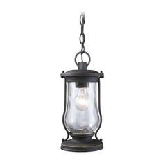 Outdoor Hanging Light with Clear Glass in Matte Black Finish
