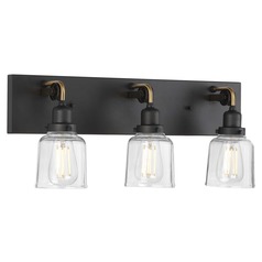 Rushton 24-Inch Vanity Light in Graphite & Antique Brass by Progress Lighting